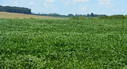 El Observador | 0000013869.webp