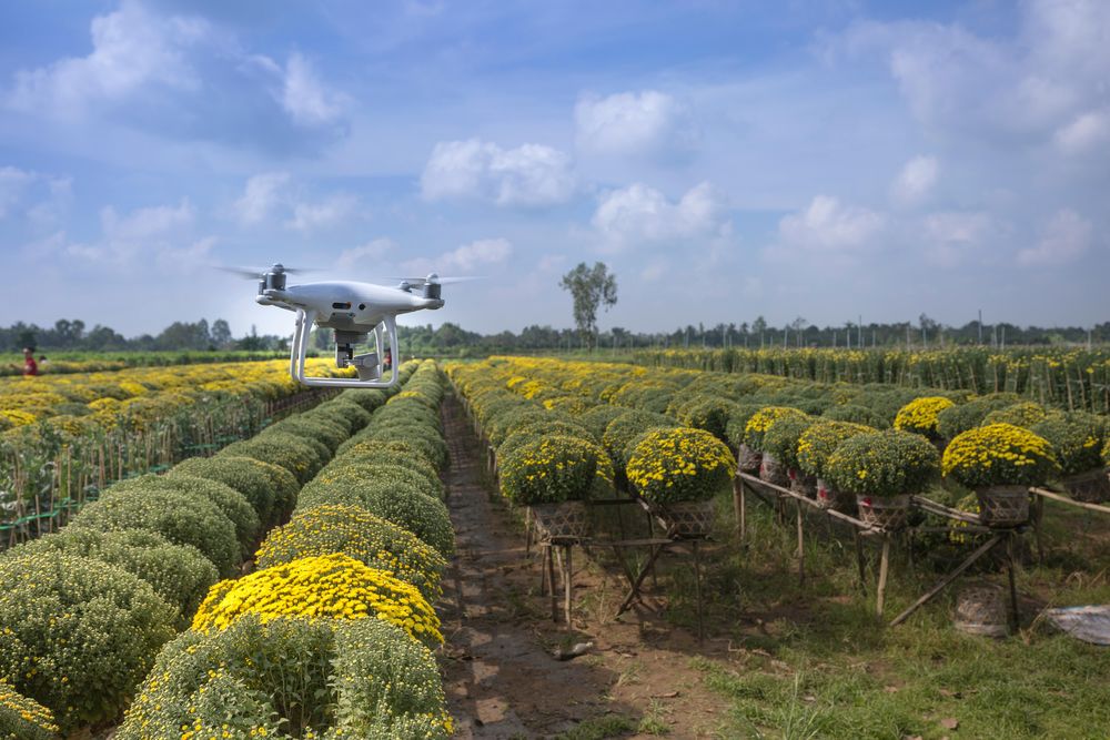 Agtech: la tecnología, en diversos campos, un aliado para los agricultores.