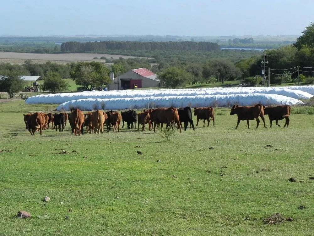 Ganaderos iniciaron la gestiónd de un momento siempre complicado, el cierre del otoño y el invierno.