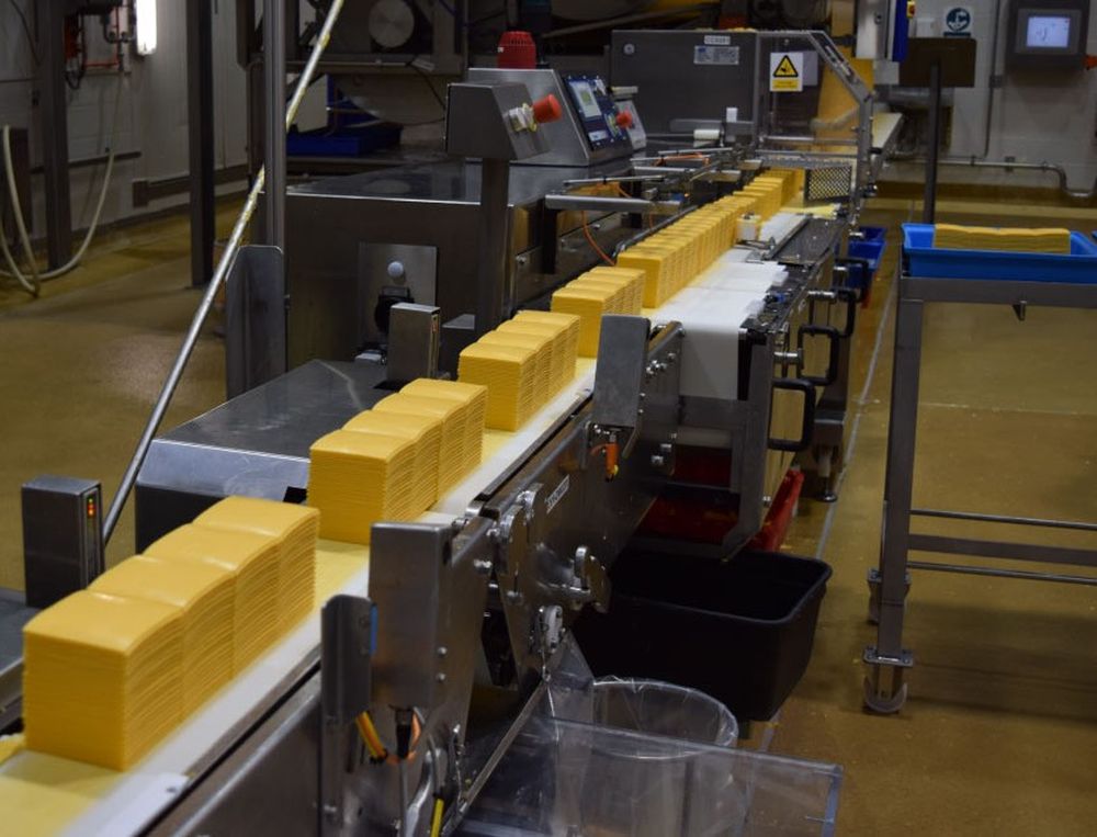 Productos lácteos: subió el valor medio del cheddar.