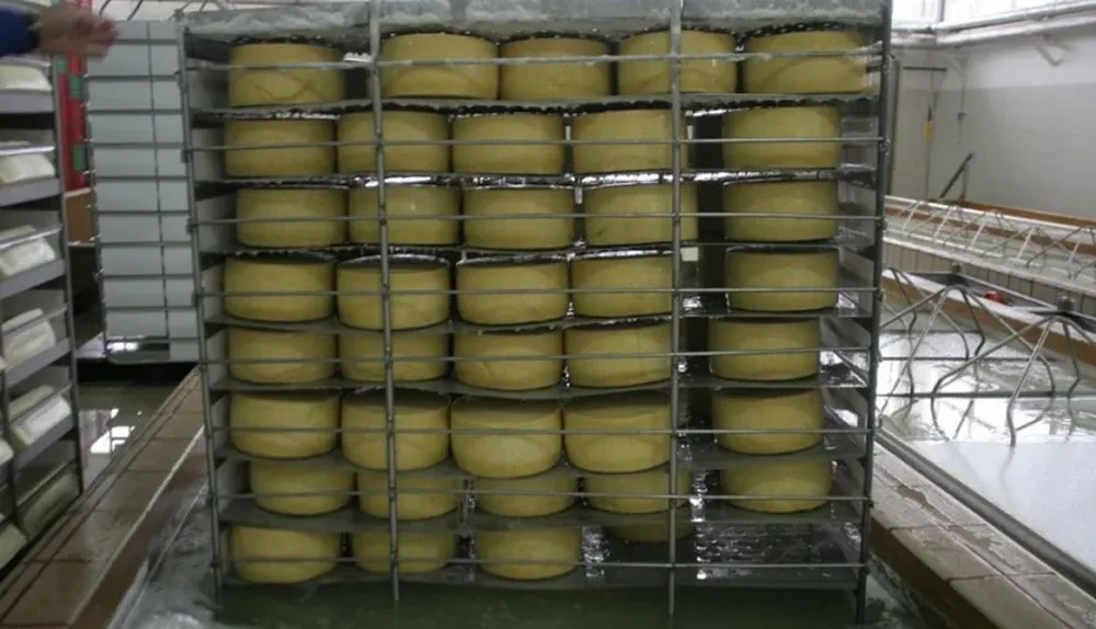 Productos lácteos: quesos, uno de los rubros de exportación.