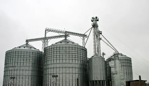 Los molinos arroceros priorizan el proceso industrial, las fuentes laborales y el entorno productivo