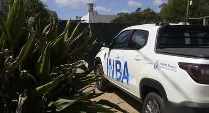 INBA informó que el animal está bajo la tenencia de una ONG.