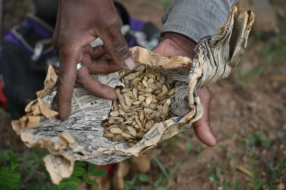 La desnutrición causa diferencias entre la IMM y el gobierno nacional