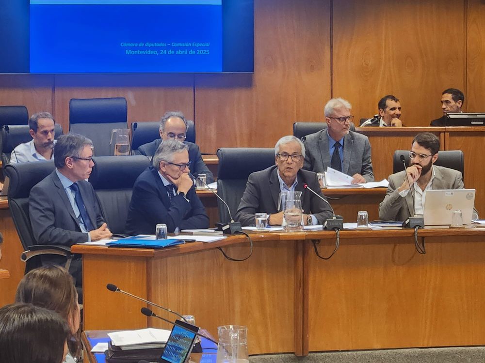 Martín Vallcorba, Rodrigo Arim y Juan Castillo en la comisión de Diputados
