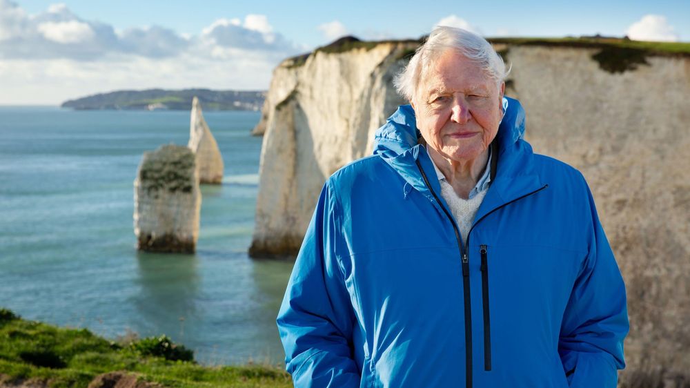 Millones de personas han visto sus documentales sobre la vida en nuestro planeta.