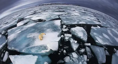 El Observador | 0000351419.webp