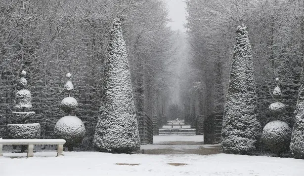 Los jardines del Palacio de Versalles, en Francia, pintados de blanco