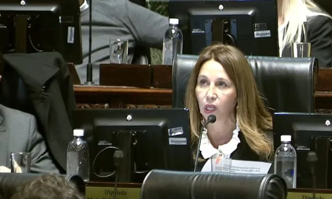 Pilar Ramírez, jefa de bloque de La Libertad Avanza, considera que esta modificación proporcionaría reglas claras