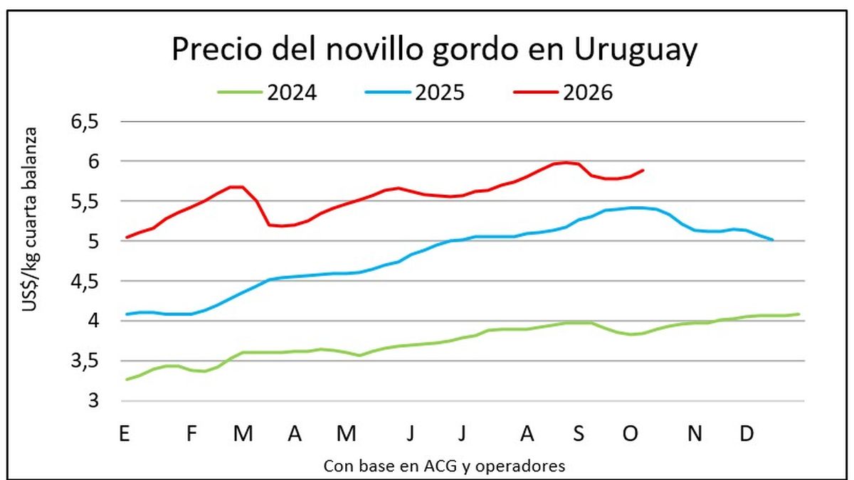 Mercado del ganado gordo con nuevas referencias y la industria midiendo cuánto está dispuesta a pagar