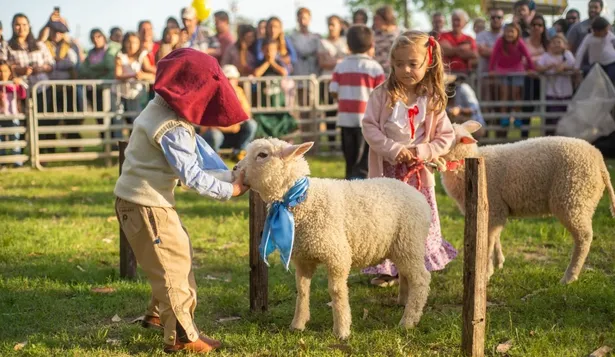 Concurso de cordero guacho.