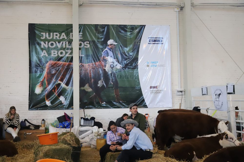 Alumnos de la UTU en uno de los hist&oacute;ricos galpones de la Expo Rural Prado.