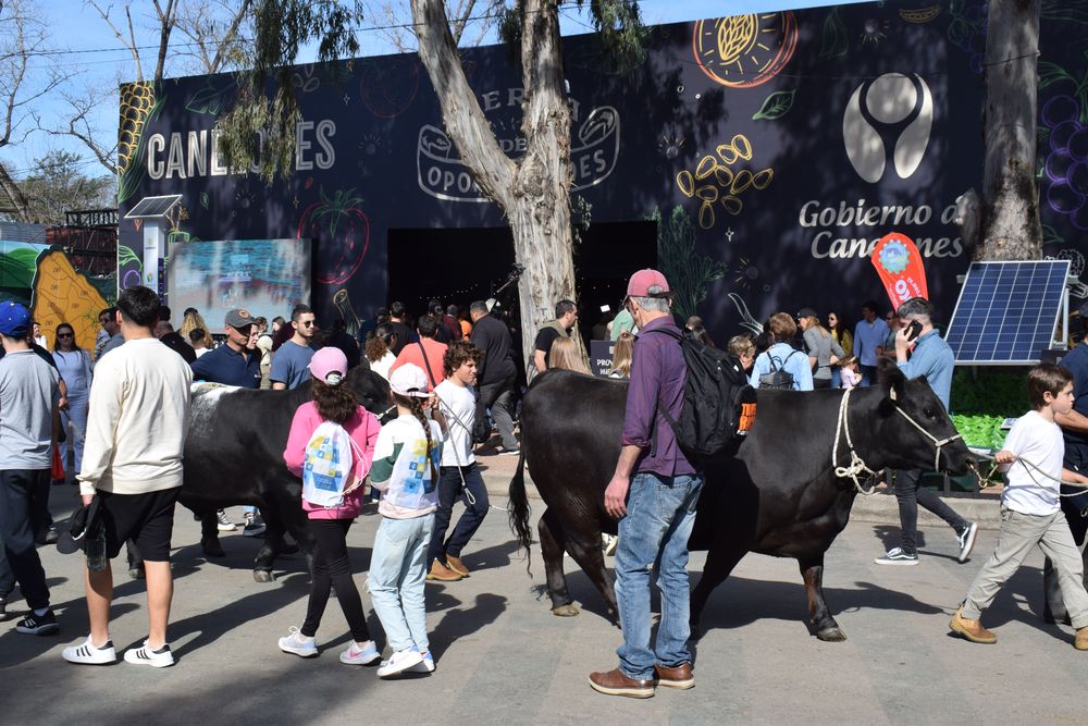 Expo Rural del Prado: están a la venta las entradas para la exposición de la ARU.