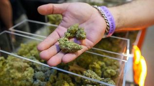 El uso lúdico del cannabis seguirá estando prohibido a nivel federal, pero nuevas regulaciones abren su acceso.