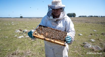 FAO, un reconocimiento a María Laura y también al valor de todas las mujeres rurales de Uruguay.