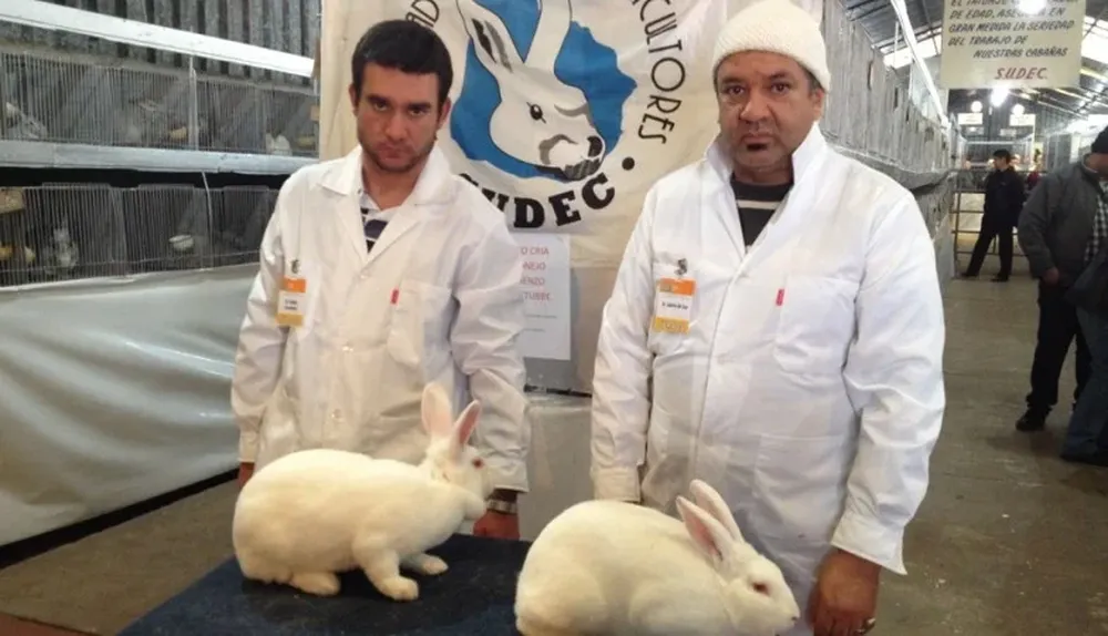 Fabián Fernández y Lauro Da Luz con los mejores conejos