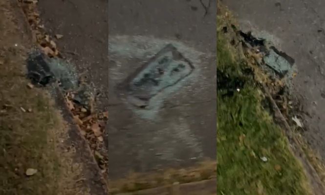 Vidrios arrancados de autos en Parque Rodó