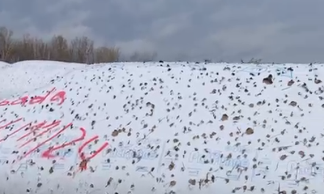 Turbonada con vientos intensos, lluvias y granizo destrozaron, por ejemplo, silos bolsas con reservas de comida para los rodeos.