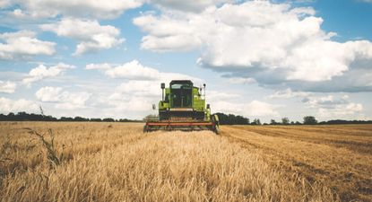 la actividad de la cadena agropecuaria fue record en 2025
