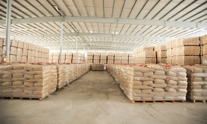 Brasil aún no libera nuevos permisos de importación para lácteos uruguayos