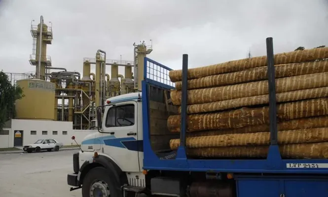 Fanapel y UPM: dos caras de la industria papelera