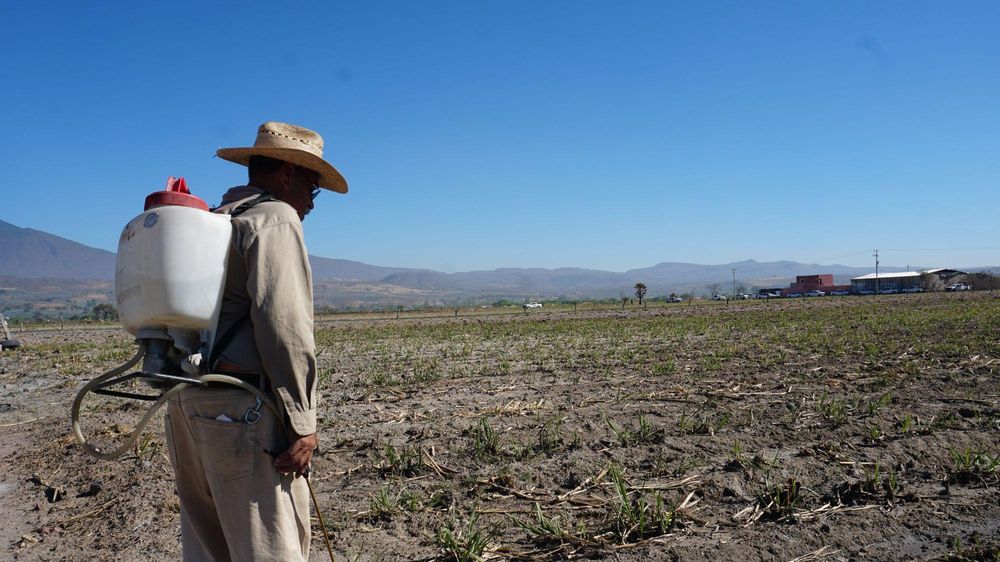 Otros, como este cultivador, están temerosos de que se acabe la tranquilidad.