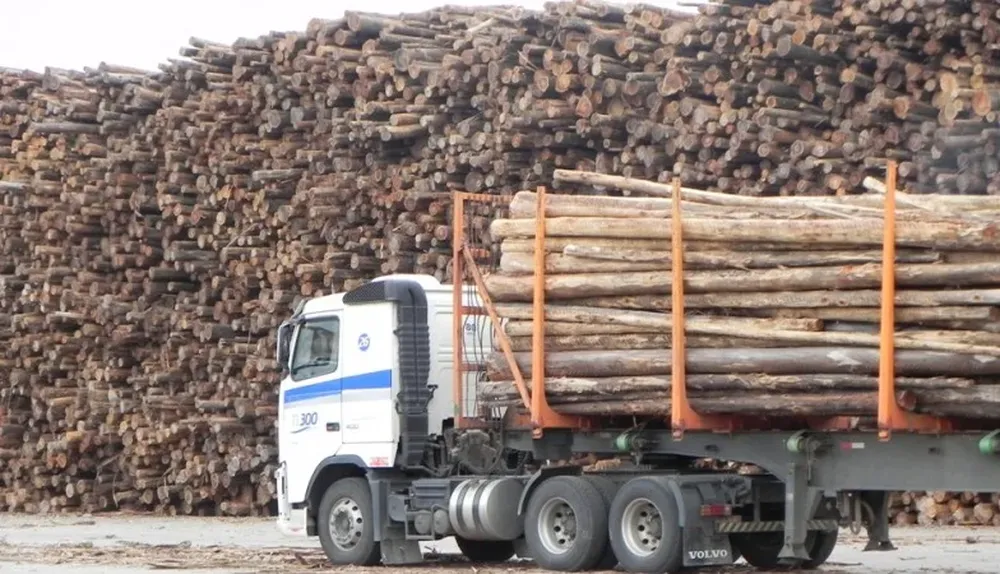 Acopio de materia prima en la planta de UPM en Fray Bentos