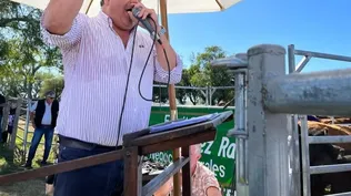 José Pedro Aicardi, director de MegaAgro.
