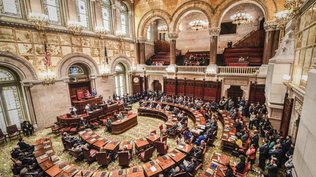 Senado de Nueva York.