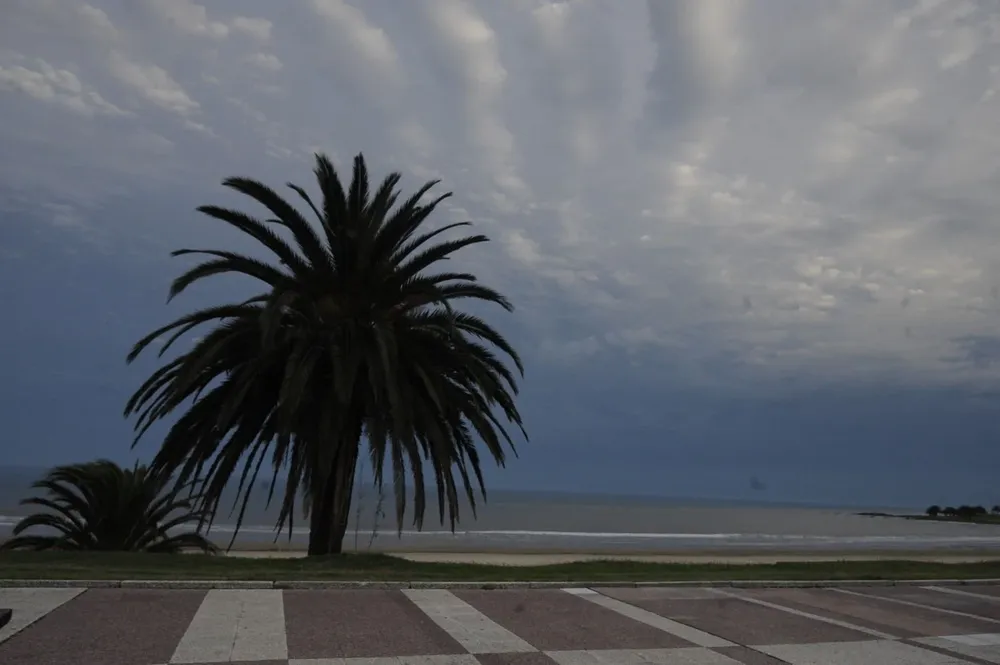 Se espera un día nublado con temperaturas agradables en Montevideo, con una baja probabilidad de lluvias