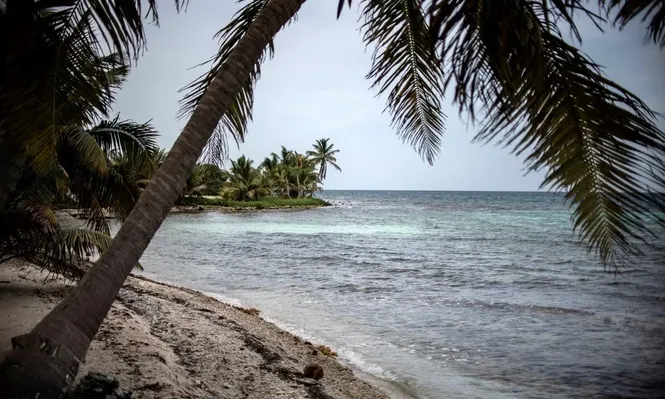 La costa de Belice alberga la barrera de coral más grande del hemisferio norte, un hábitat valioso para especies en peligro de extinción.