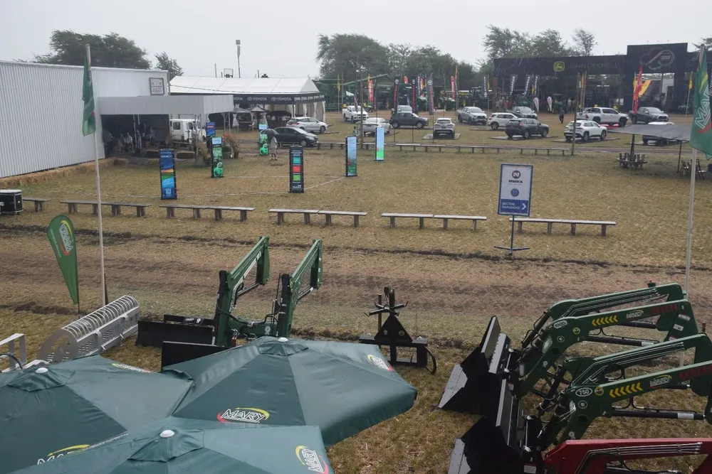 Las actividades en los stands continuaron.