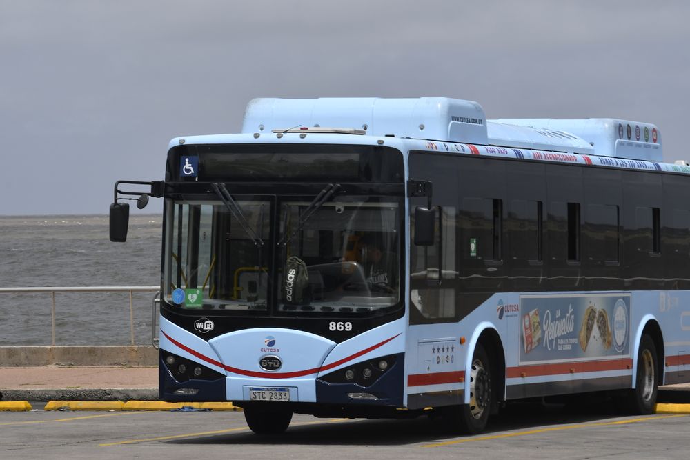 Transporte público, omnibuses, buses. Bus eléctrico.