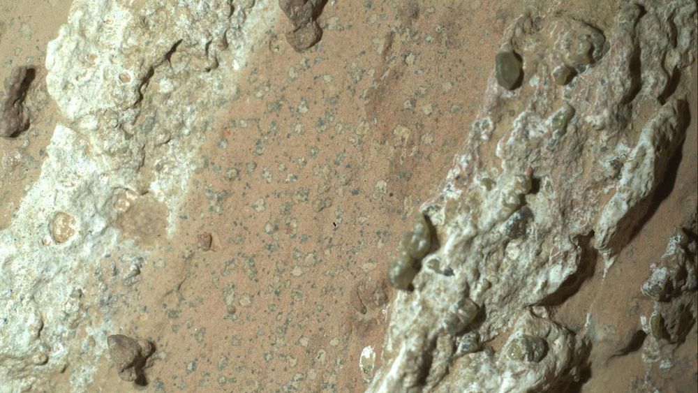 Las rocas están cubiertas de marcas inusuales que parecen manchas de leopardo.