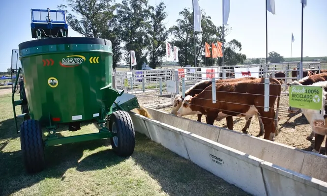 Tecnología y negocios: las postales de la Expo Melilla