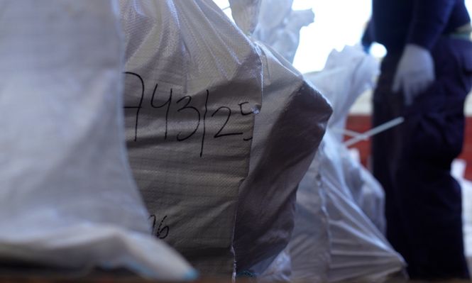 La Policía destruyó más de dos toneladas de estupefacientes incautados tras operación antidrogas en Montevideo