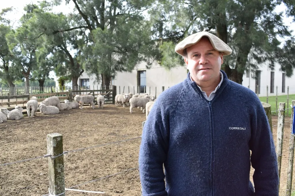 Rodrigo Granja, presidente de la Sociedad de Criadores de Corriedale del Uruguay
