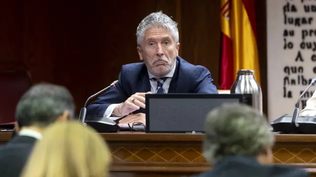 Fernando Grande-Marlaska comparece en el Senado