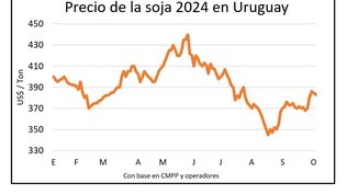 Chacras a la espera de lluvias y los productores atentos al clima y al mercado.