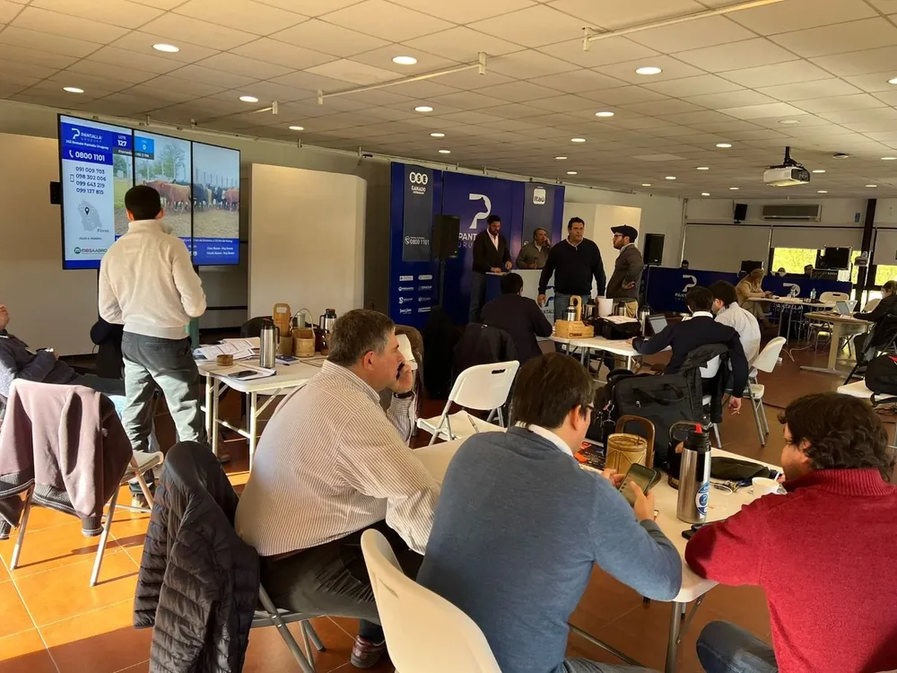 Pantalla Uruguay rematará este viernes.