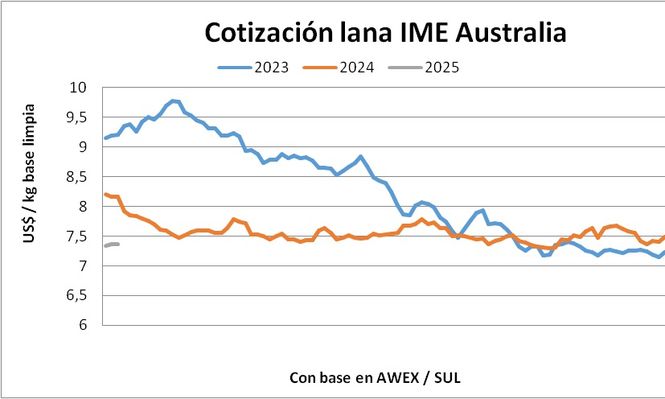 Mercado lanero, Blasina y Asociados.