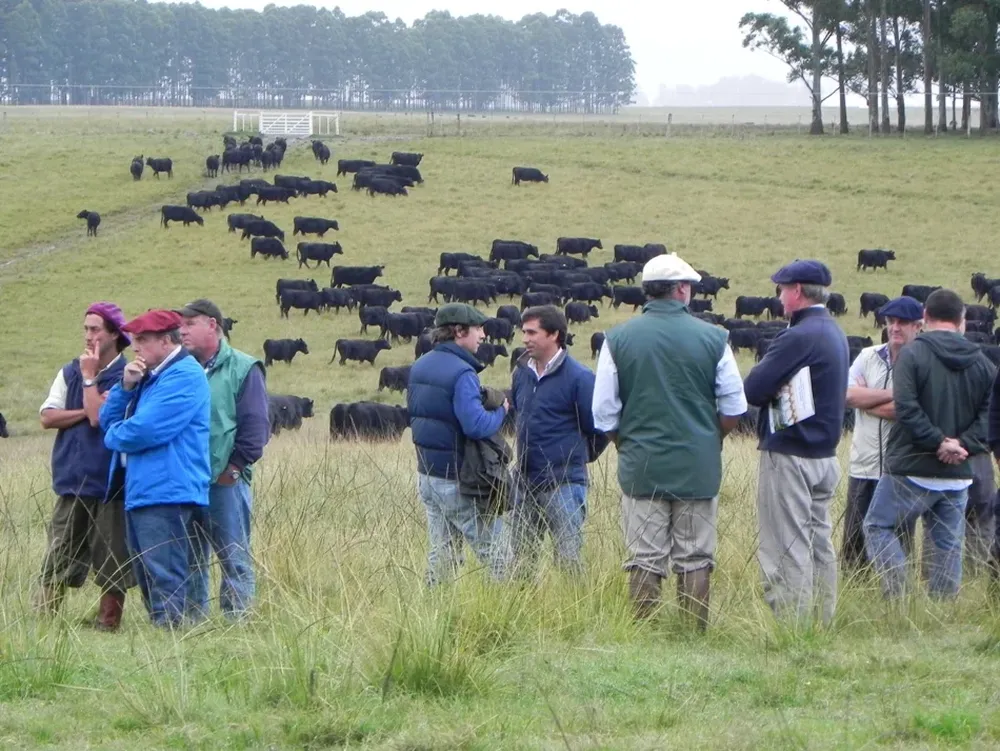 Participantes de la Gira Angus 2013 observan uno de los valiosos rodeos de esta raza