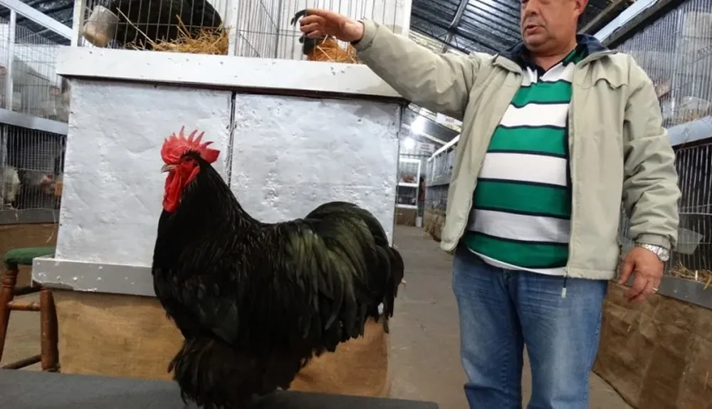 El presidente de SACU muestra a la mejor de las aves