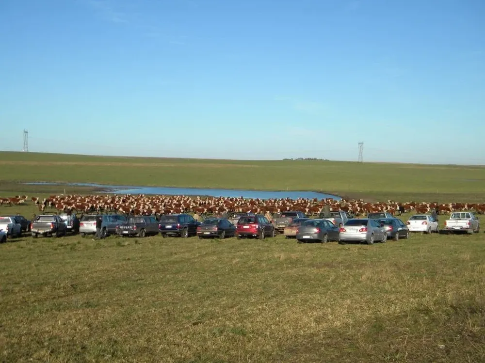 Uruguay trabaja firmemente en la mitigación de los problemas que provocan el cambio climático