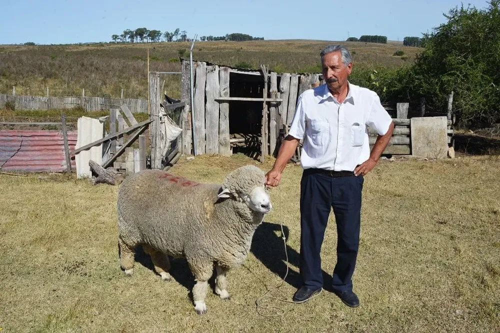 El alcalde blanco Luis Seguí tiene 77 años y es un productor rural de la zona
