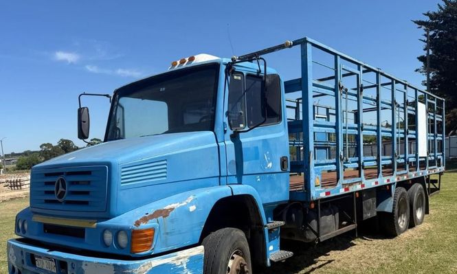Arias: camiones, camionetas, un remolque y autoelevador