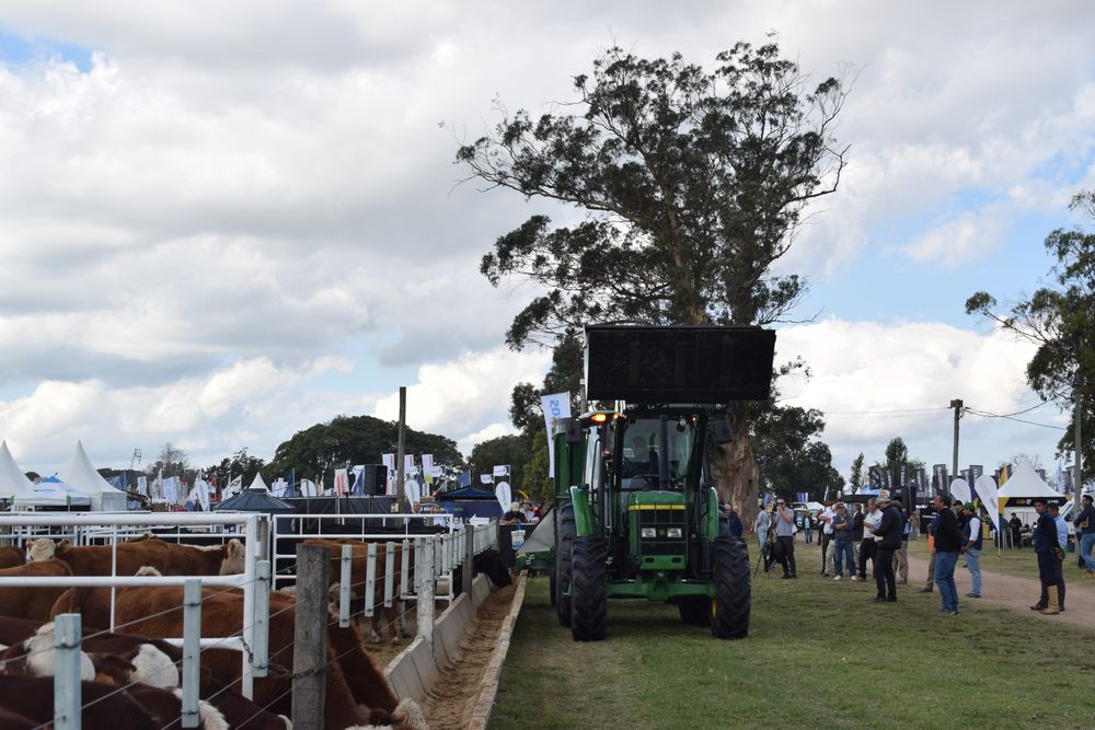 Expo Rural de Melilla: la edición de 2025 se hará del 3 al 6 de abril.