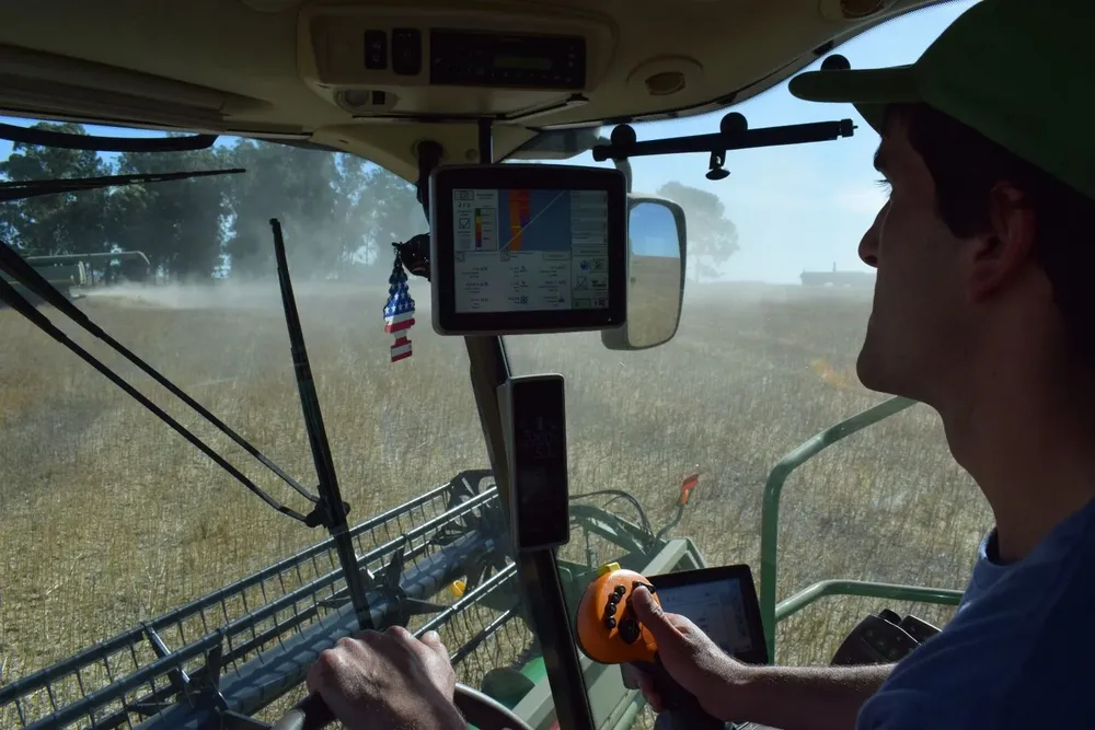 Donald Trump hace dudar a los agricultores uruguayos sobre cuánta colza sembrar en este invierno.