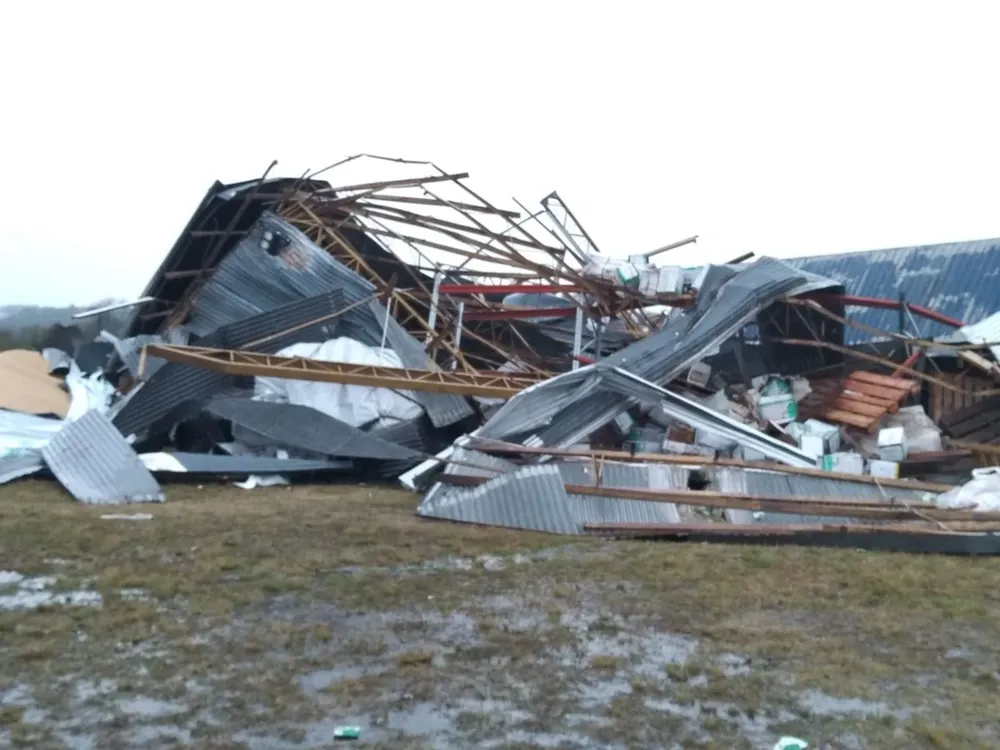 Plantas de acopio de granos destrozadas por turbonada en Paysandú