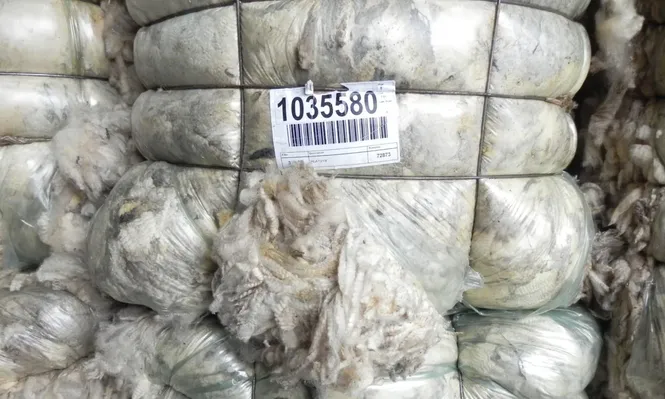 Mercado lanero: mejores señales al inicio de marzo.